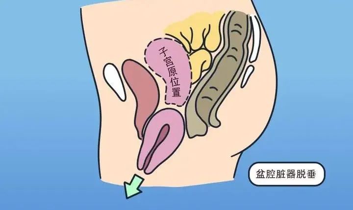 微信圖片_20240613093309.jpg